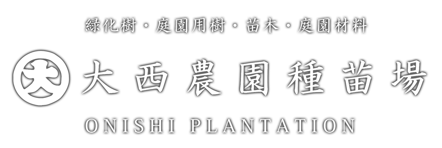 大西農園種苗場